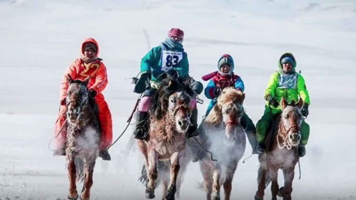 Wyścigi konne w Mongolii